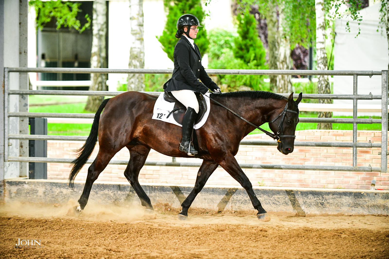 Maelys soul classic hunter under saddle