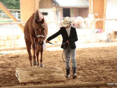 Dianaconcours